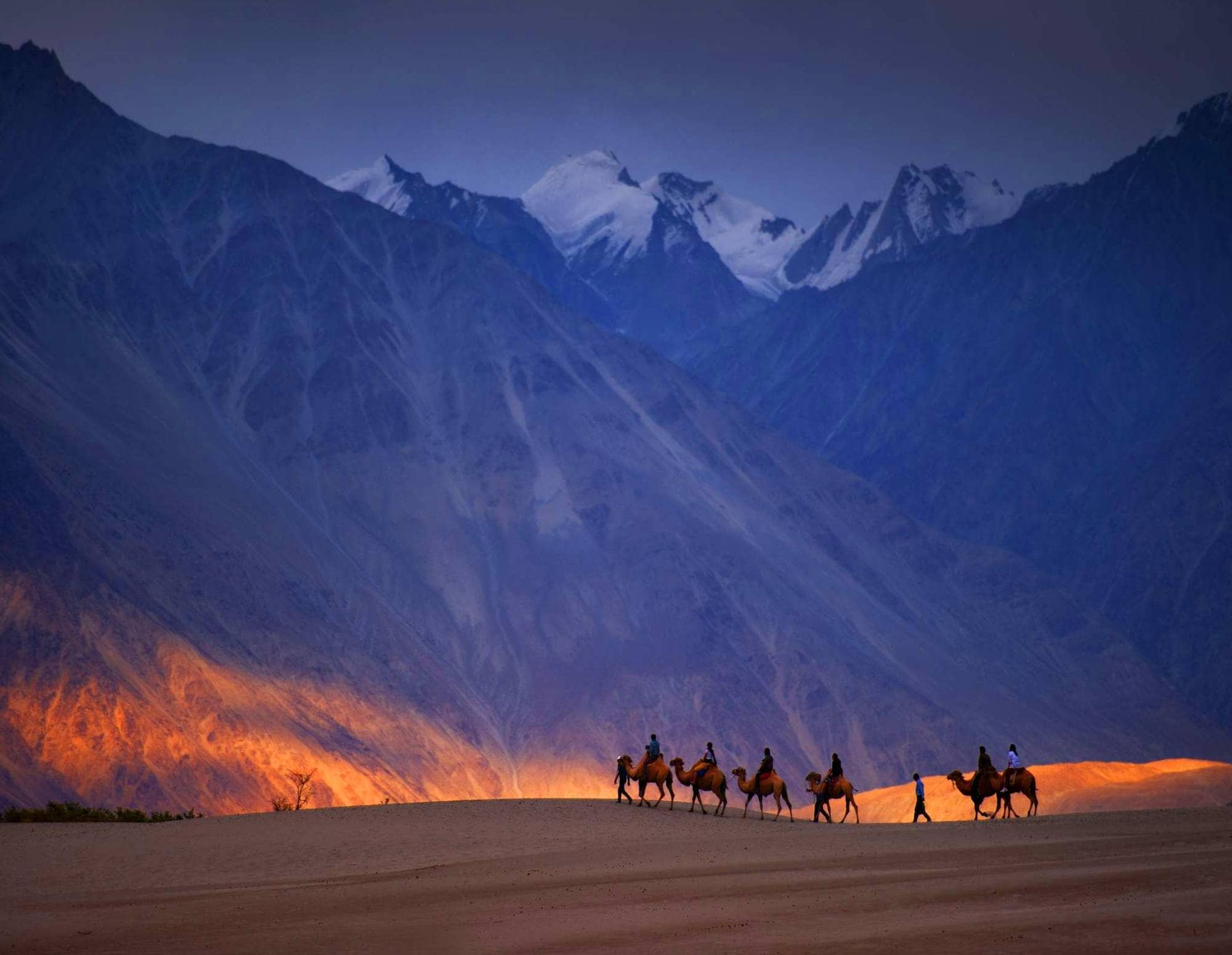 Best hotel in Leh Ladakh
