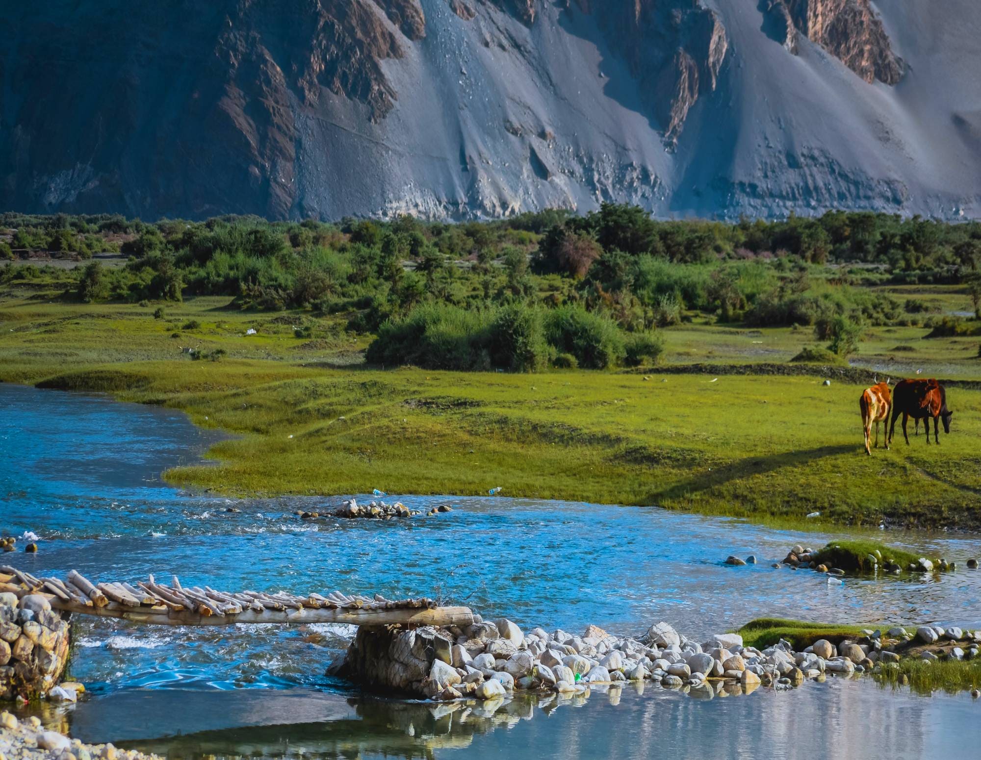 Hotels in leh ladakh