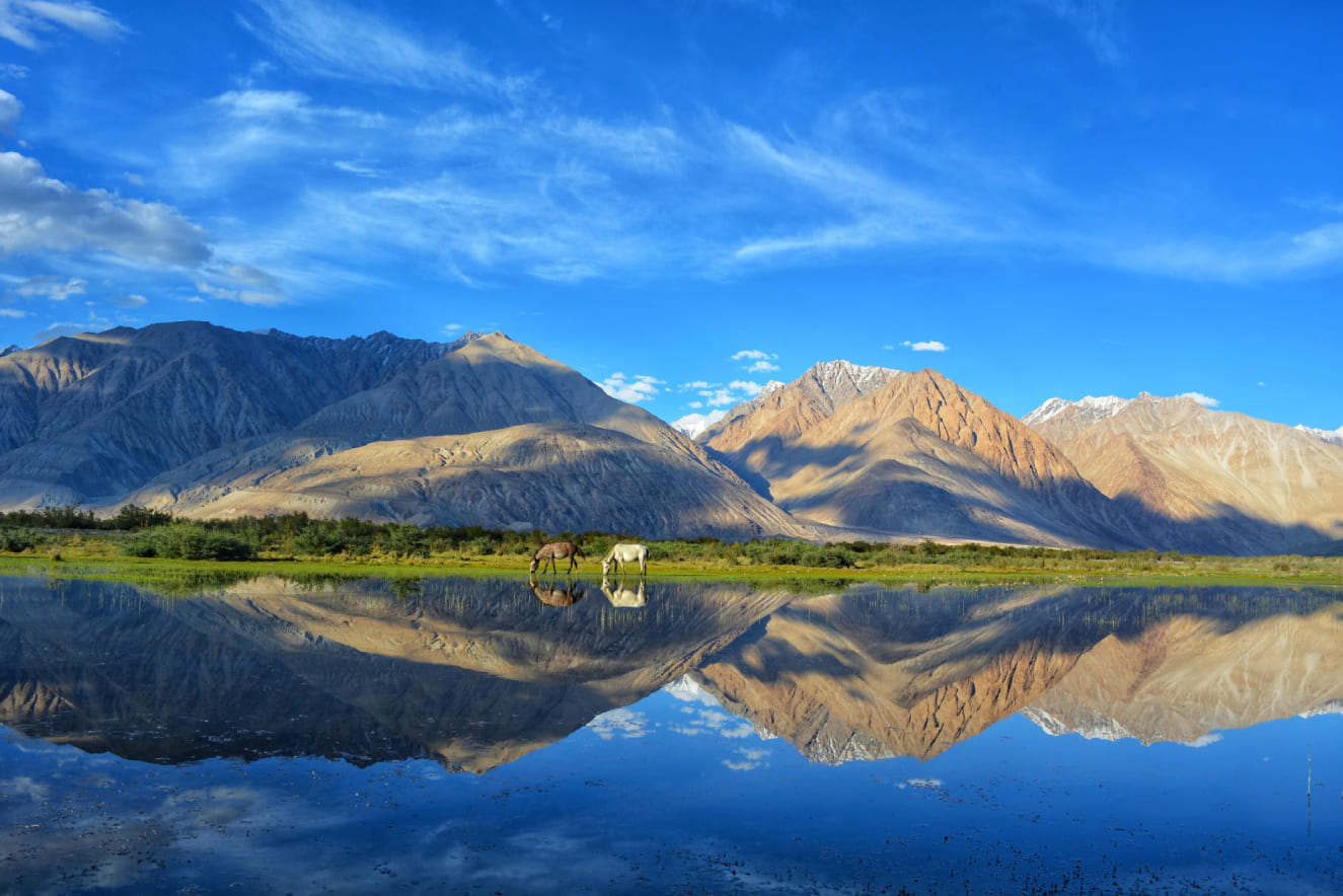 Best hotel in Leh Ladakh