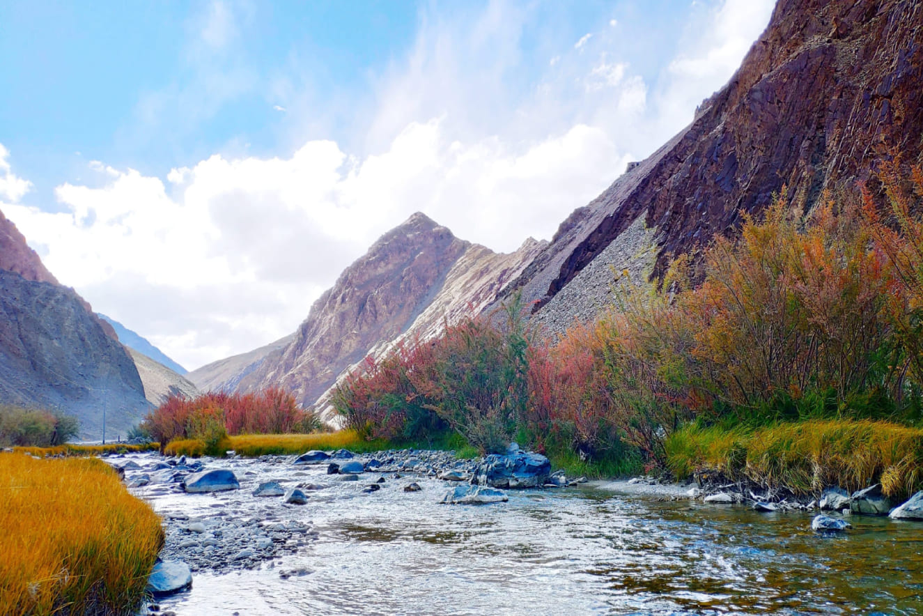 Best hotel in Leh Ladakh
